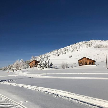 Appartement Au Pays Du Mont-Blanc 萨莱切 外观 照片