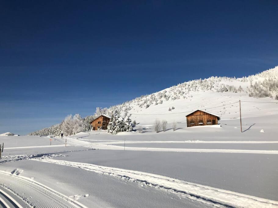 Appartement Au Pays Du Mont-Blanc 萨莱切 外观 照片