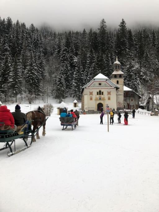 Appartement Au Pays Du Mont-Blanc 萨莱切 外观 照片