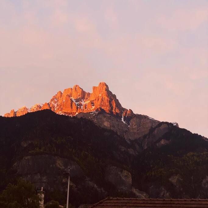 Appartement Au Pays Du Mont-Blanc 萨莱切 外观 照片
