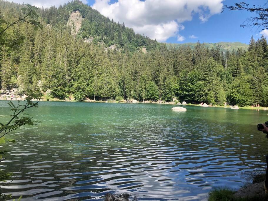 Appartement Au Pays Du Mont-Blanc 萨莱切 外观 照片