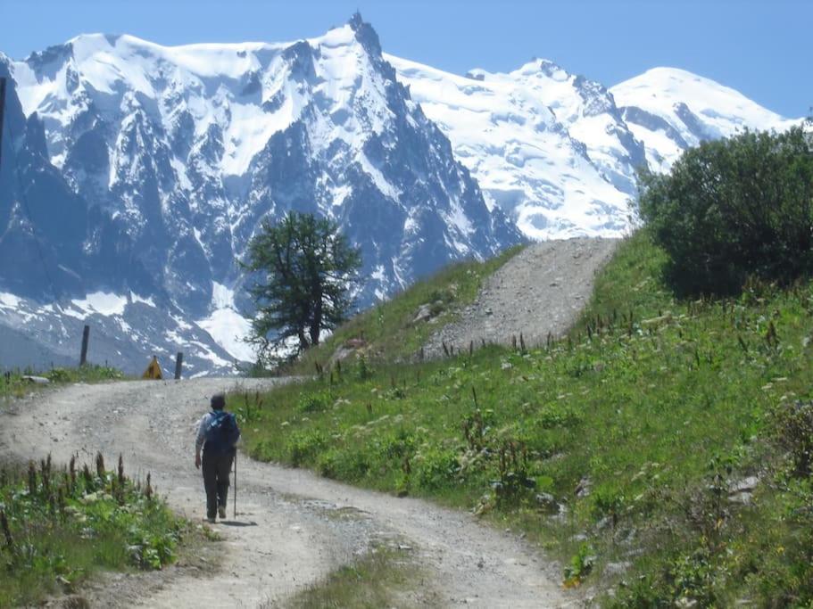 Appartement Au Pays Du Mont-Blanc 萨莱切 外观 照片