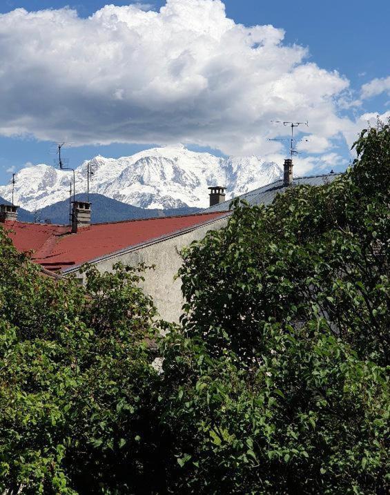 Appartement Au Pays Du Mont-Blanc 萨莱切 外观 照片